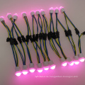 DC5v 17mm ws2811 / sk6812 adressierbar wasserdicht 5050 digitale rgb Led Pixel Unterhaltung Licht